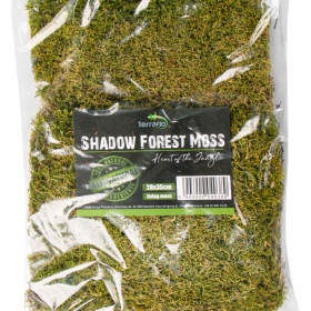 Terrario Shadow Forest Moss - natural moss 35x28cm